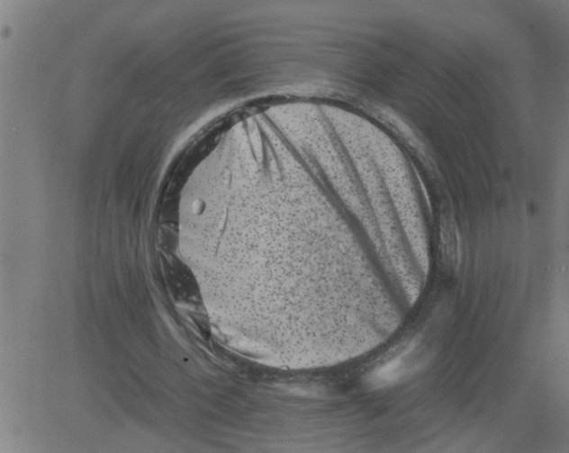 X0000081410532200702092111