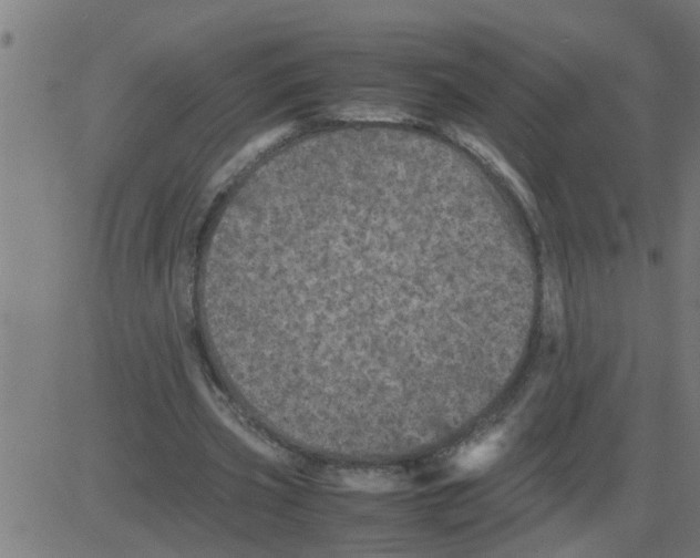 X0000081410533200702092111