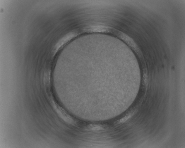 X0000081410534200702092111