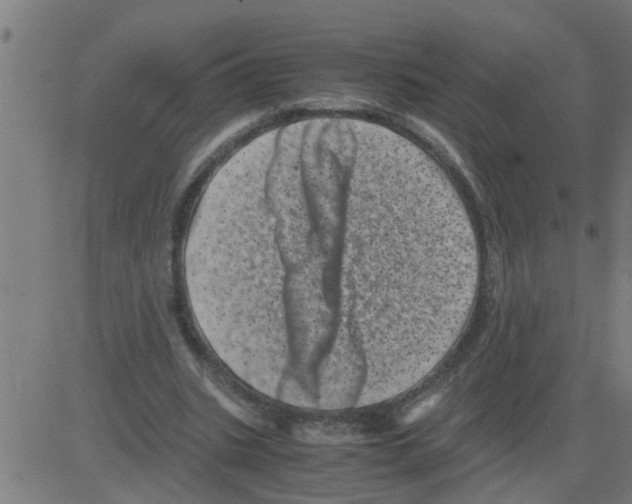 X0000081410535200702092111