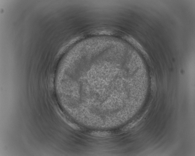 X0000081410537200702092111