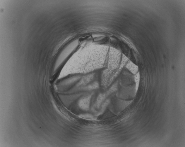 X0000081410538200702092111