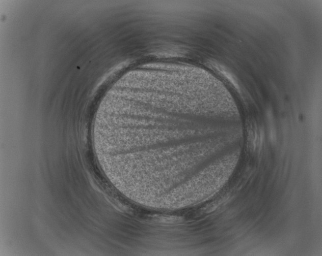 X0000081410539200702092111