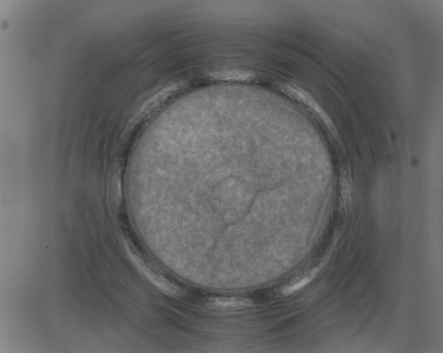 X0000081410541200702092111