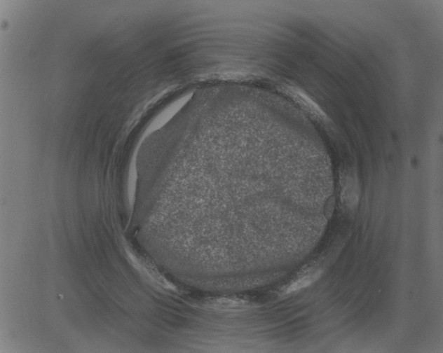 X0000081410542200702092111