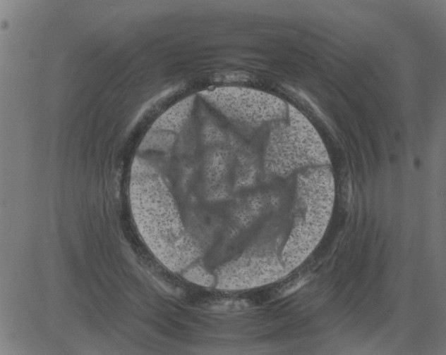 X0000081410543200702092111