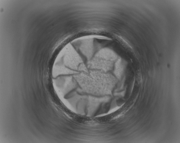 X0000081410544200702092111