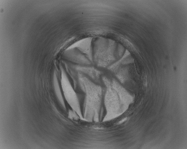 X0000081410546200702092111