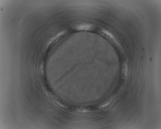 X0000081410547200702092111