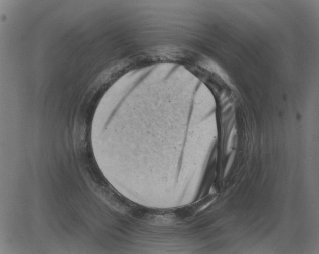 X0000081410548200702092111