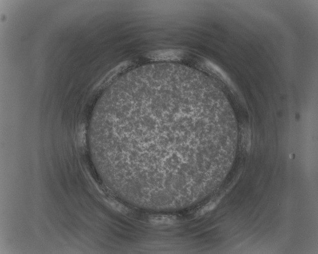 X0000081410549200702092111