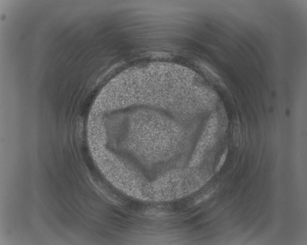 X0000081410550200702092111