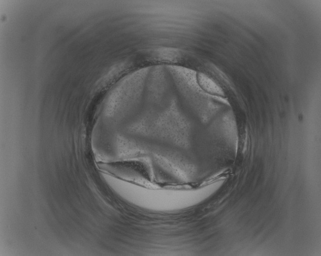 X0000081410552200702092111