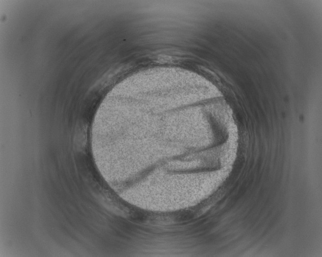 X0000081410554200702092111