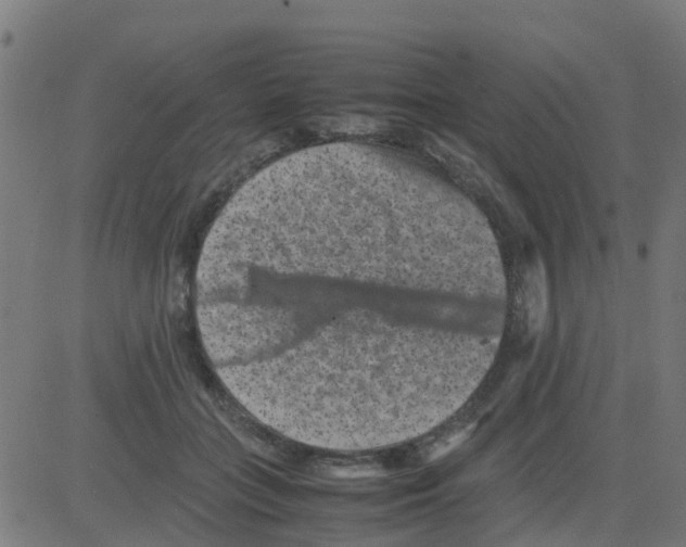 X0000081410555200702092111