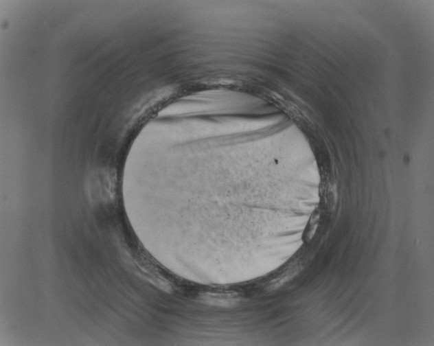 X0000081410556200702092111