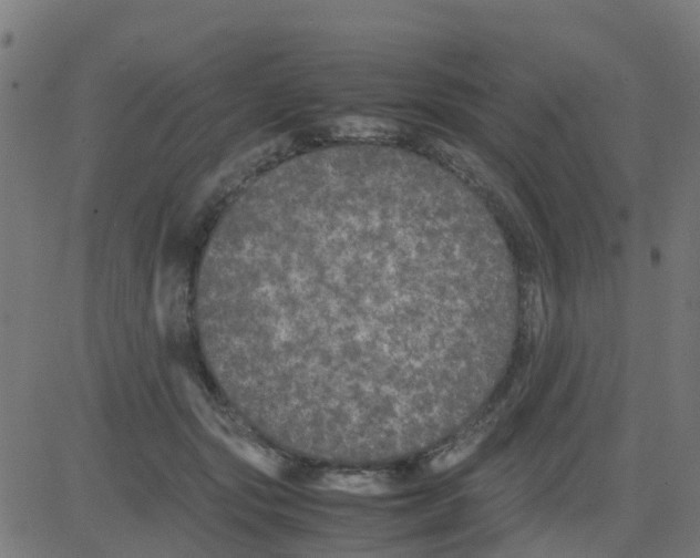 X0000081410557200702092111