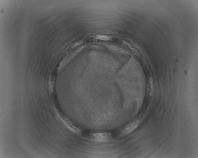 X0000081410558200702092111