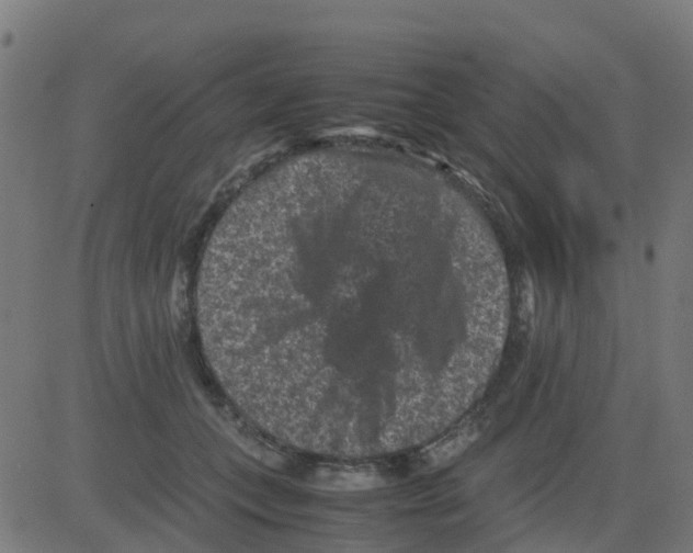 X0000081410559200702092111