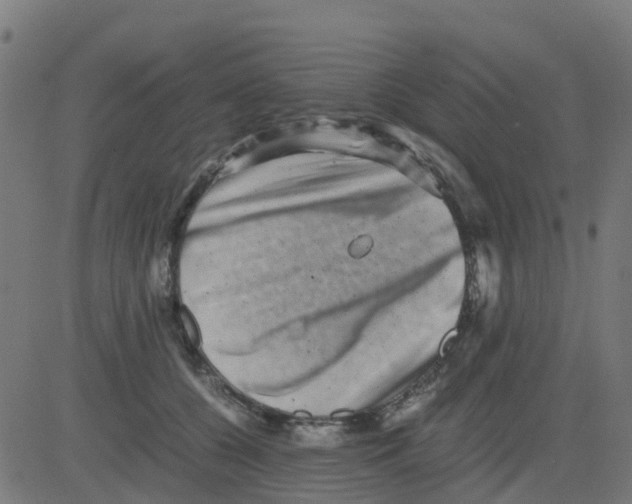 X0000081410560200702092111