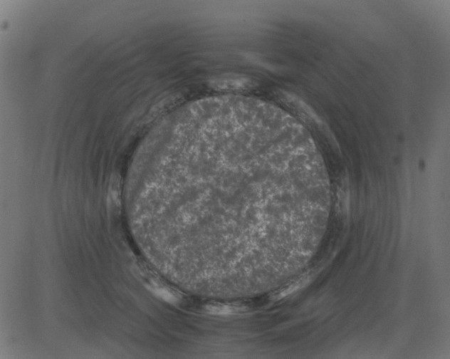 X0000081410561200702092111