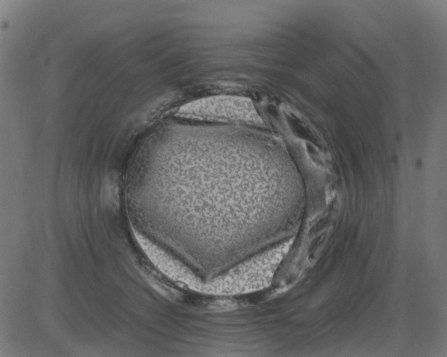 X0000081410562200702092111