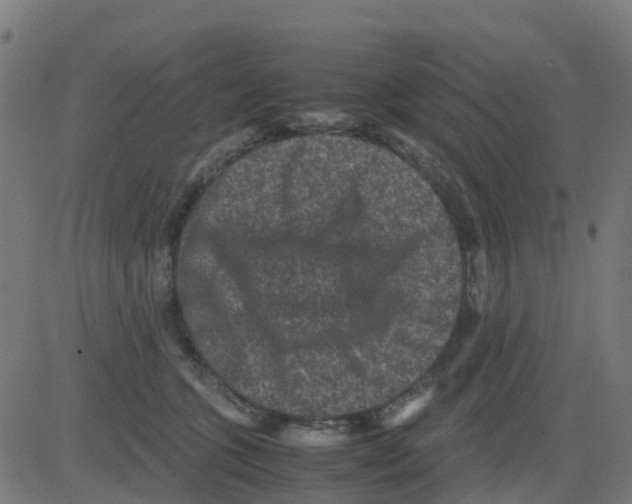 X0000081410563200702092111