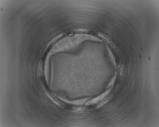 X0000081410564200702092111