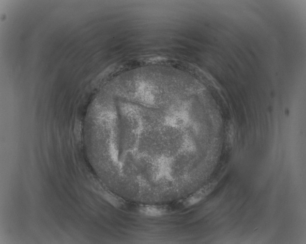 X0000081410565200702092111