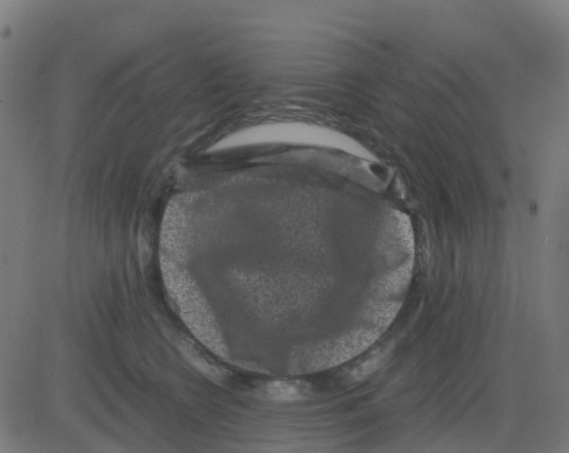 X0000081410566200702092111