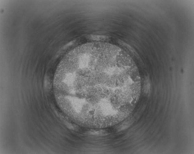 X0000081410569200702092112