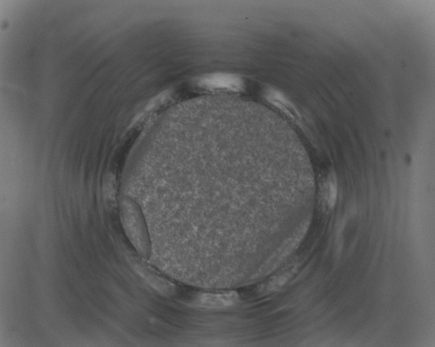 X0000081410571200702092112