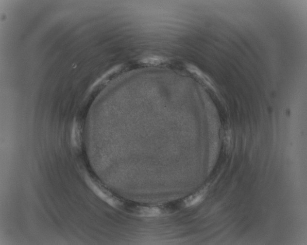 X0000081410572200702092112