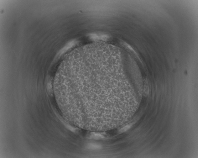 X0000081410573200702092112