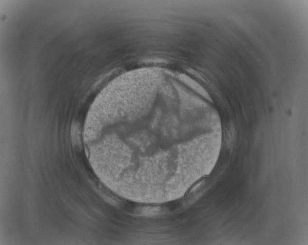 X0000081410575200702092112