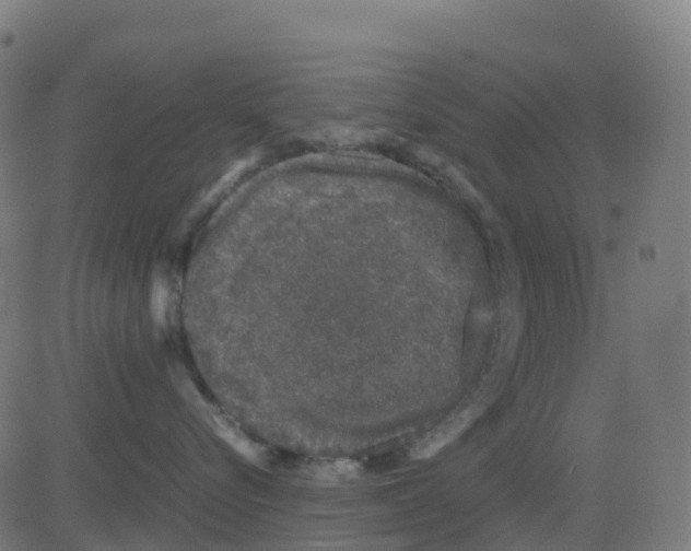 X0000081410576200702092112