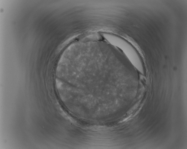 X0000081410577200702092111