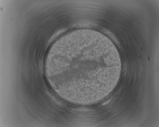 X0000081410578200702092111