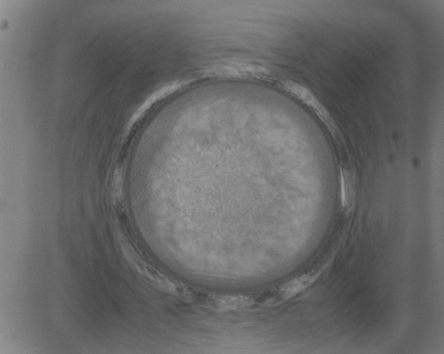 X0000081410579200702092111