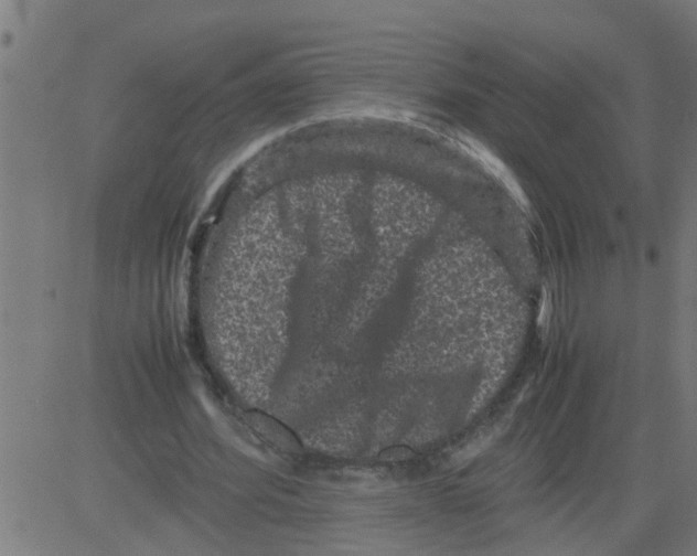 X0000081410580200702092111