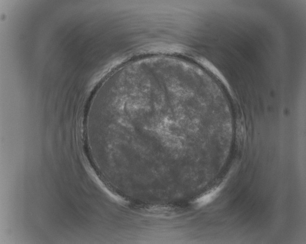 X0000081410581200702092111