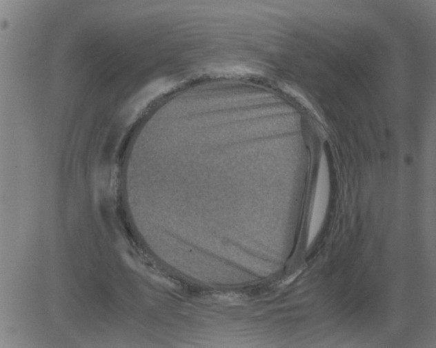 X0000081410583200702092111