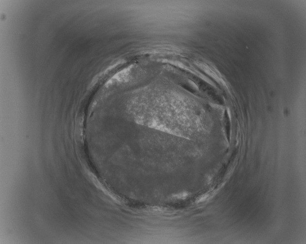 X0000081410585200702092111