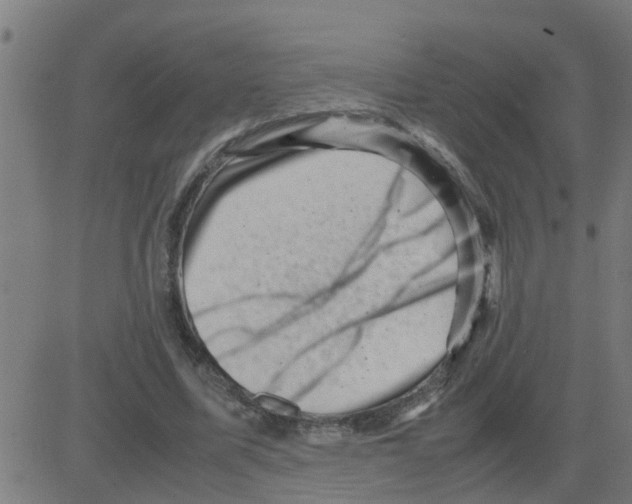 X0000081410587200702092111