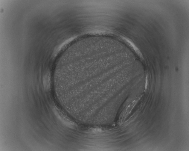 X0000081410588200702092111