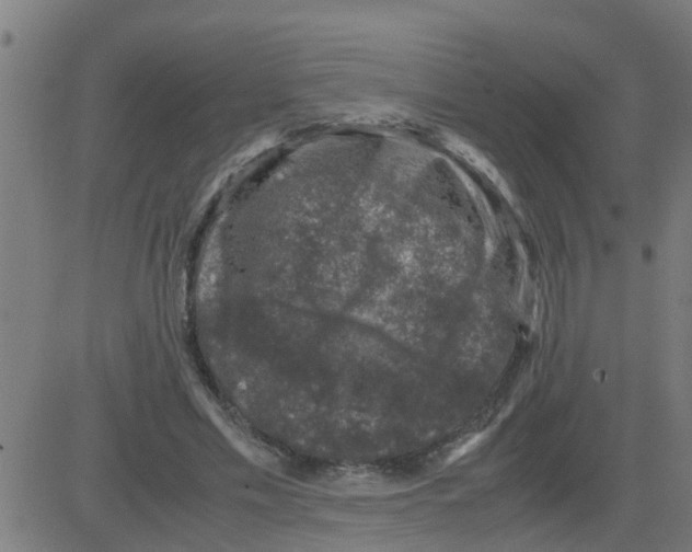 X0000081410589200702092111