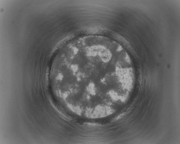 X0000081410590200702092111