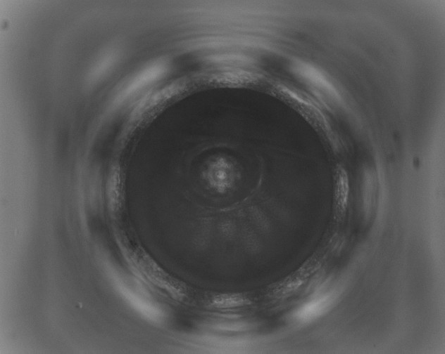 X0000081410591200702092111