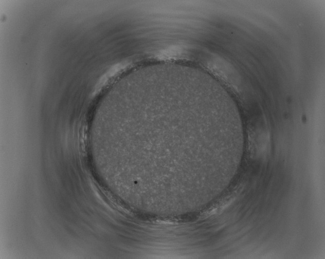 X0000081410592200702092111