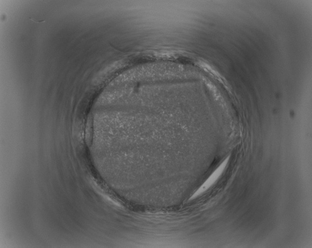 X0000081410593200702092111